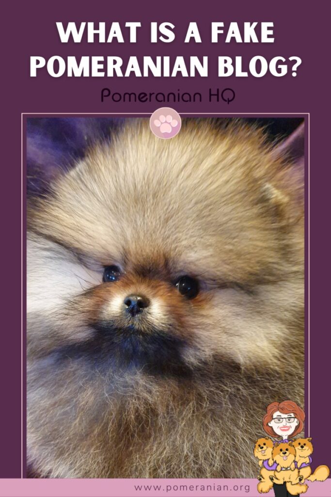 What is a Fake Pomeranian Blog?