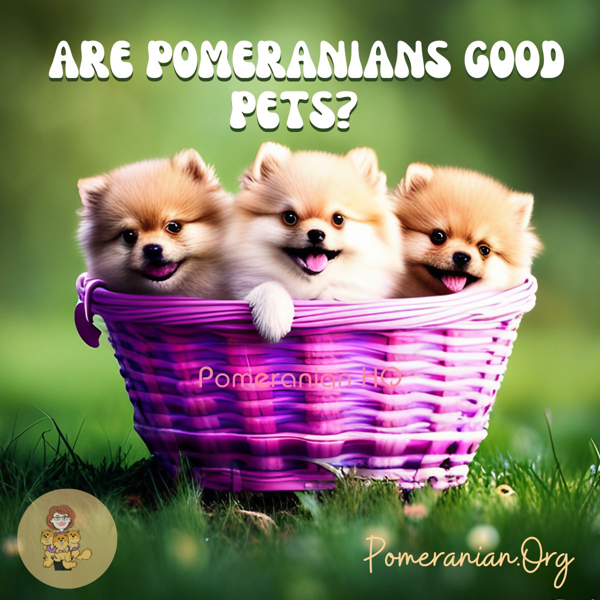 Are Pomeranians Good Pets?