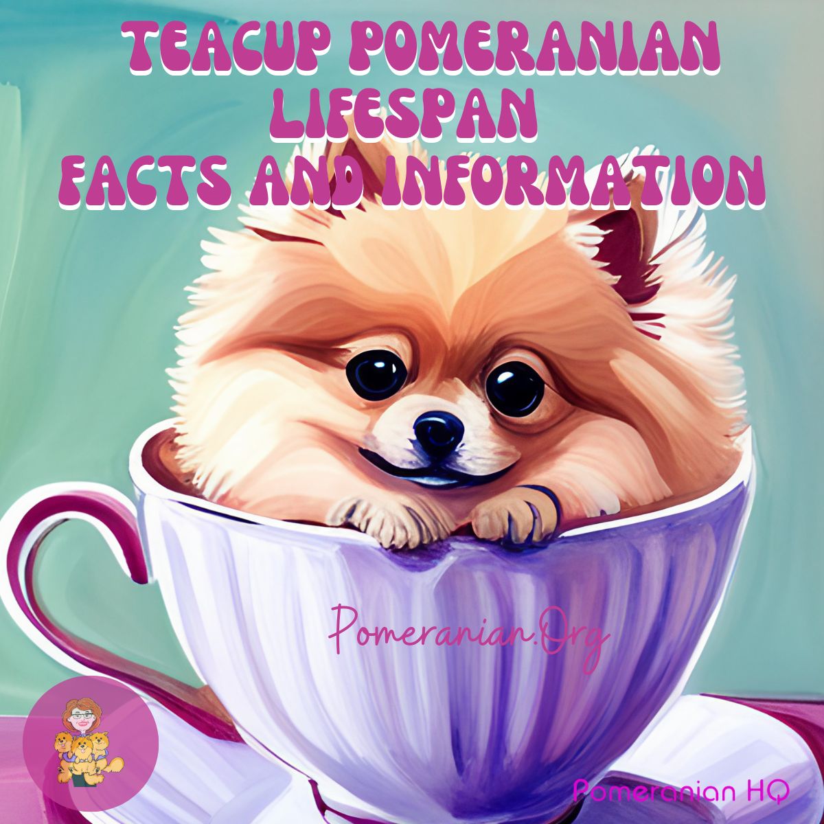 Teacup Pomeranian LifeSpan Facts and Information