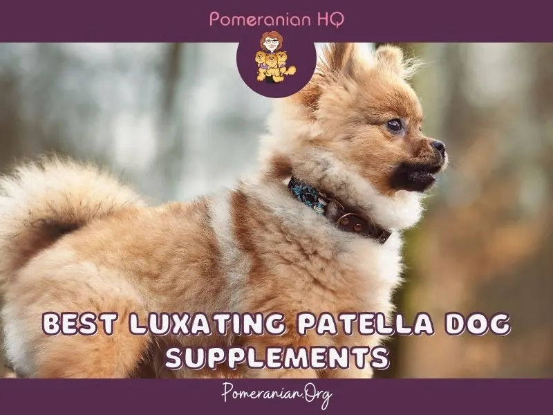 Luxating Patella dog supplements