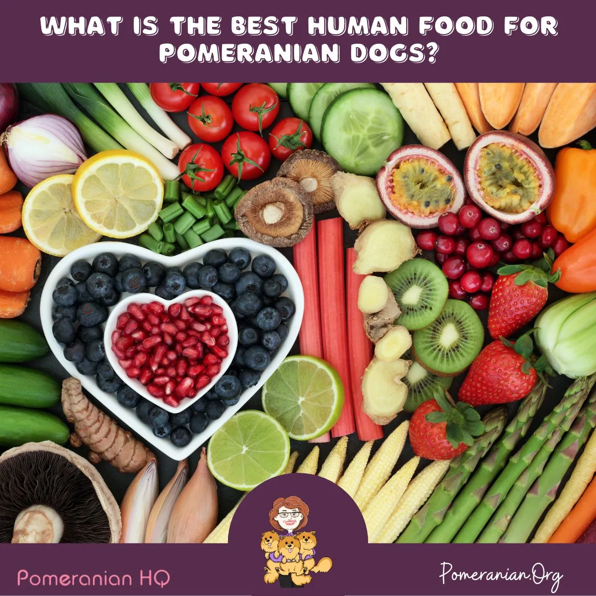 Best Human Food for Pomeranian Dogs