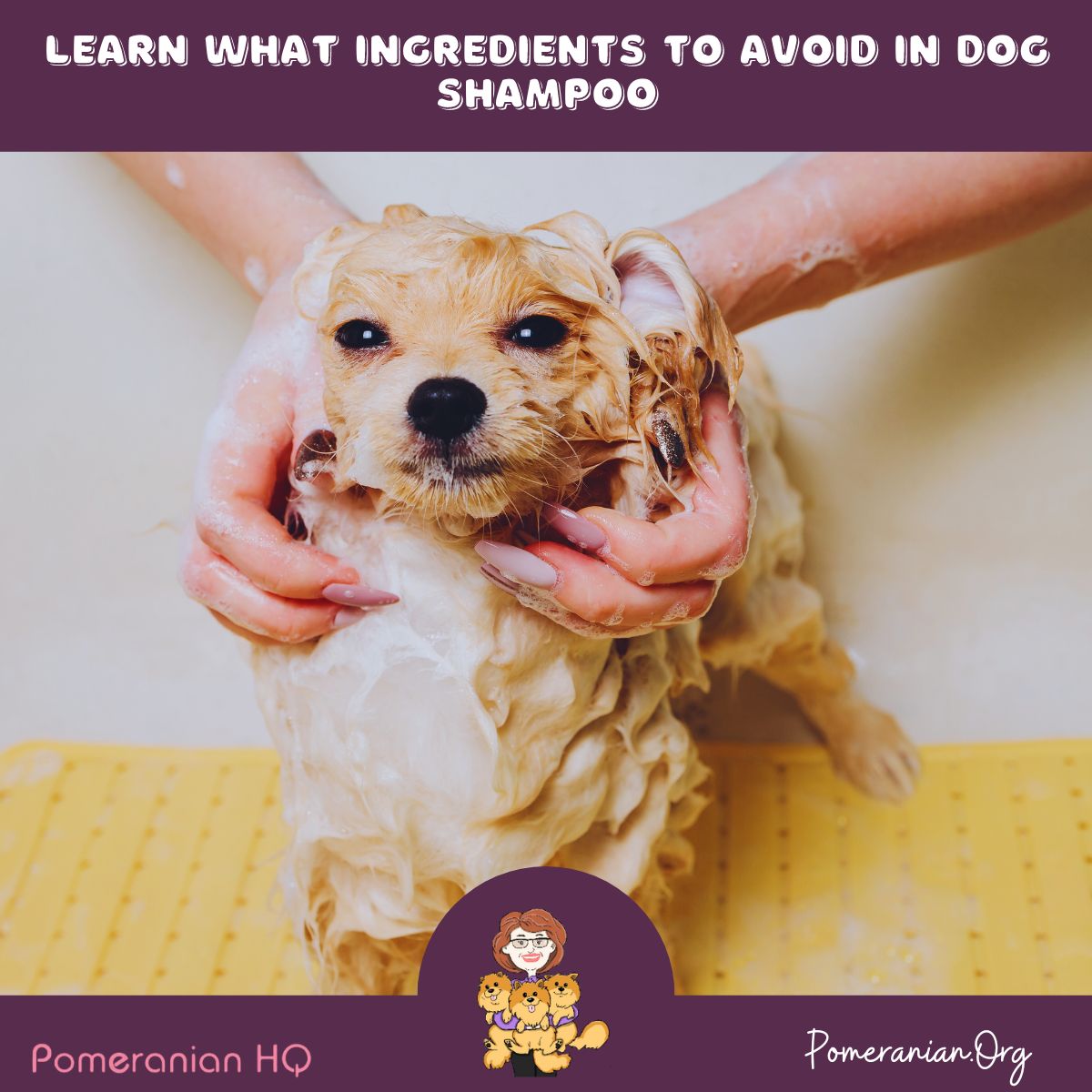 Learn What Dog Shampoo Ingredients to Avoid.