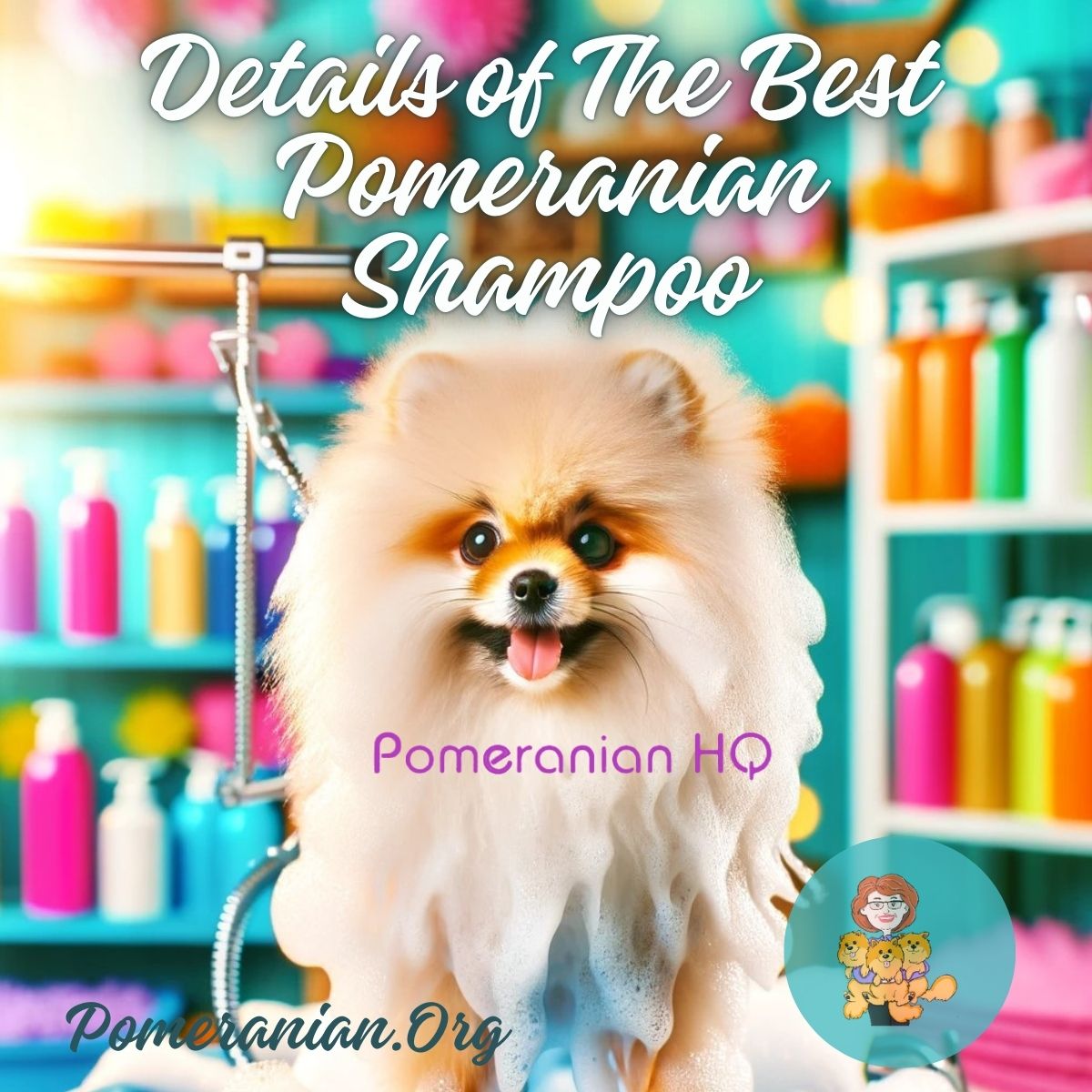 Details of The Best Shampoo for Pomeranian Dogs