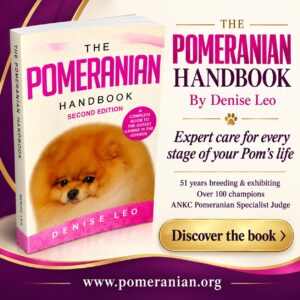 The Pomeranian Handbook by Denise Leo