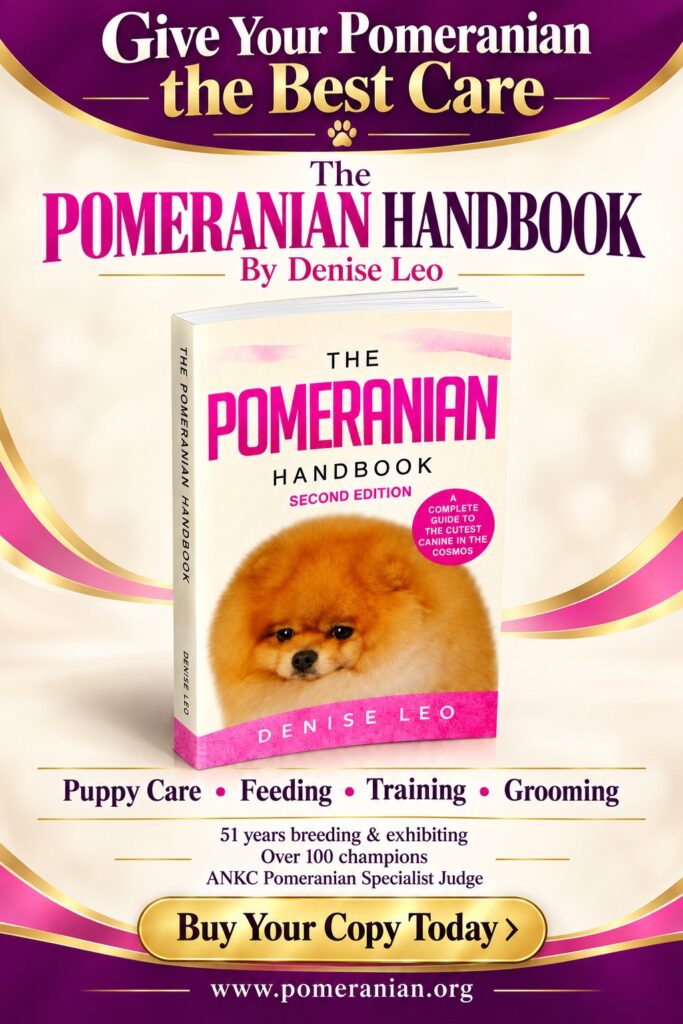 The Pomeranian Handbook by Denise Leo