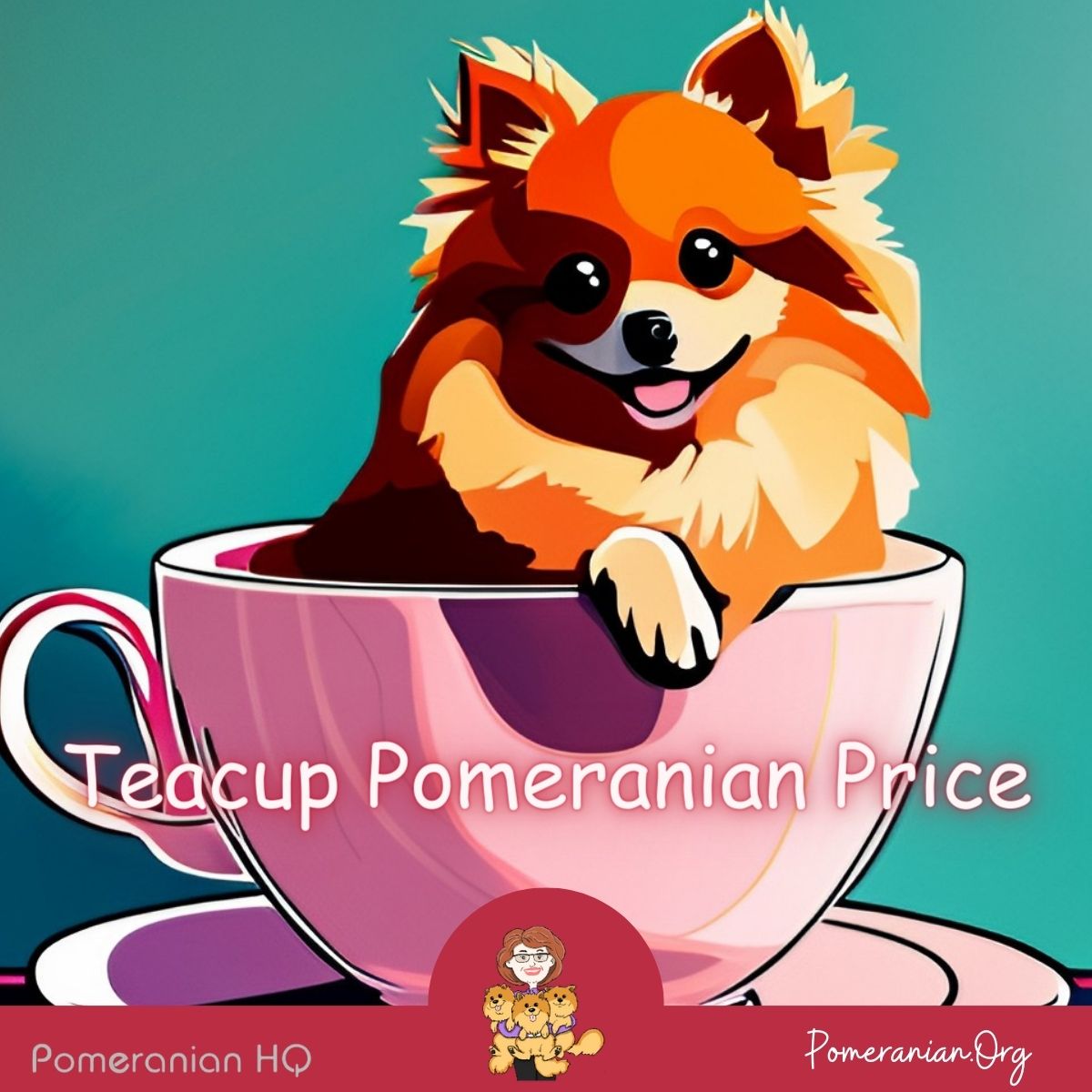 Teacup Pomeranian Price