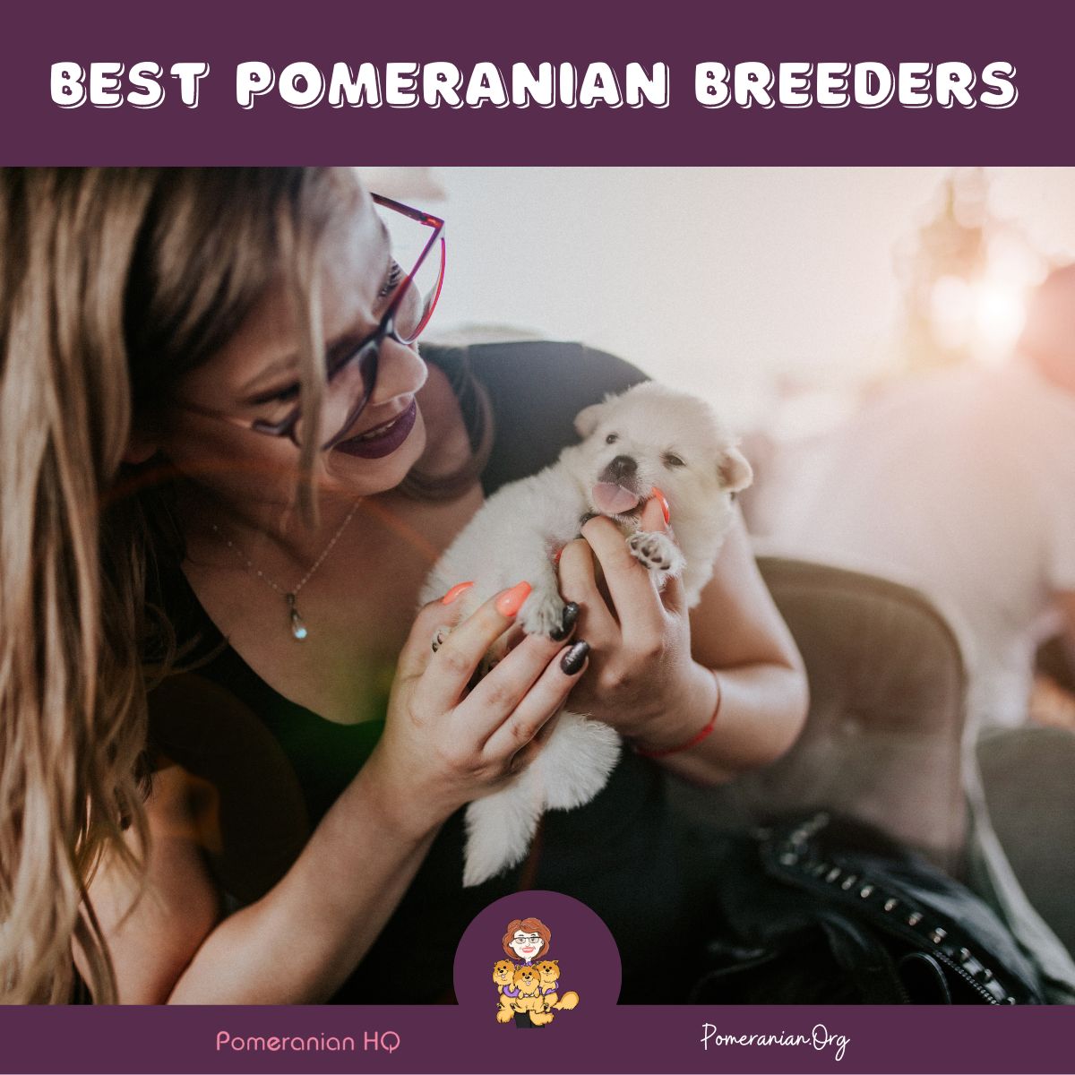 Best Pomeranian Breeders