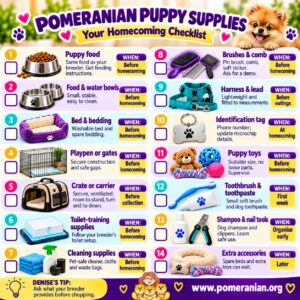Pomeranian Puppy Supplies List