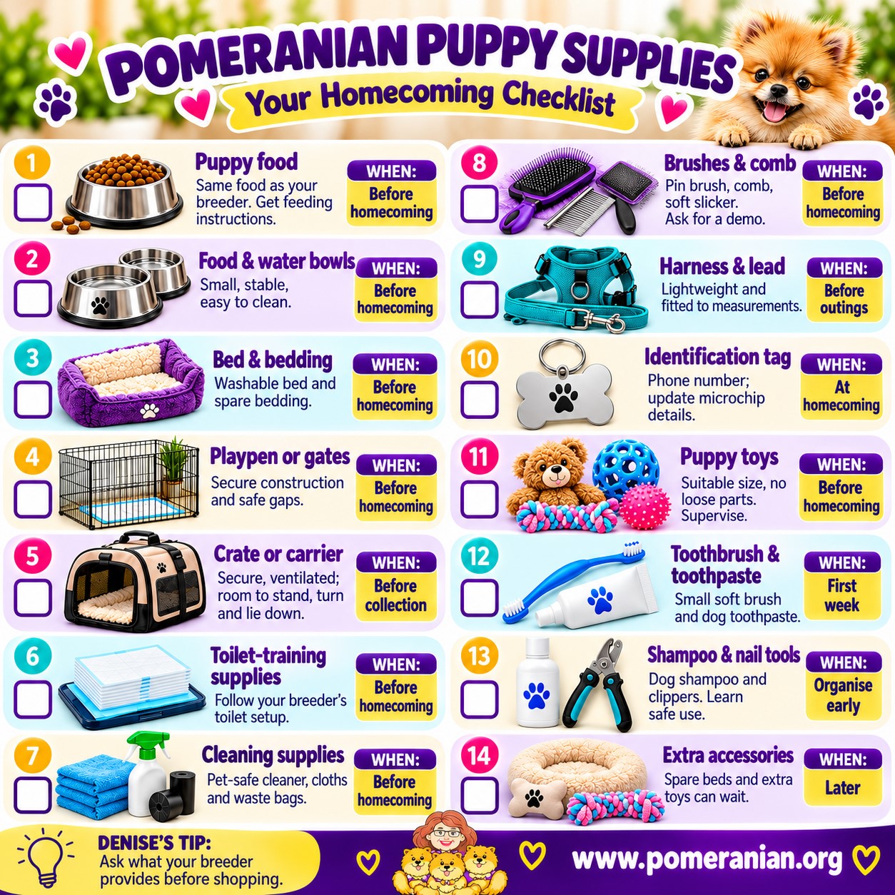 Pomeranian Supplies: Puppy Checklist & Essential Accessories