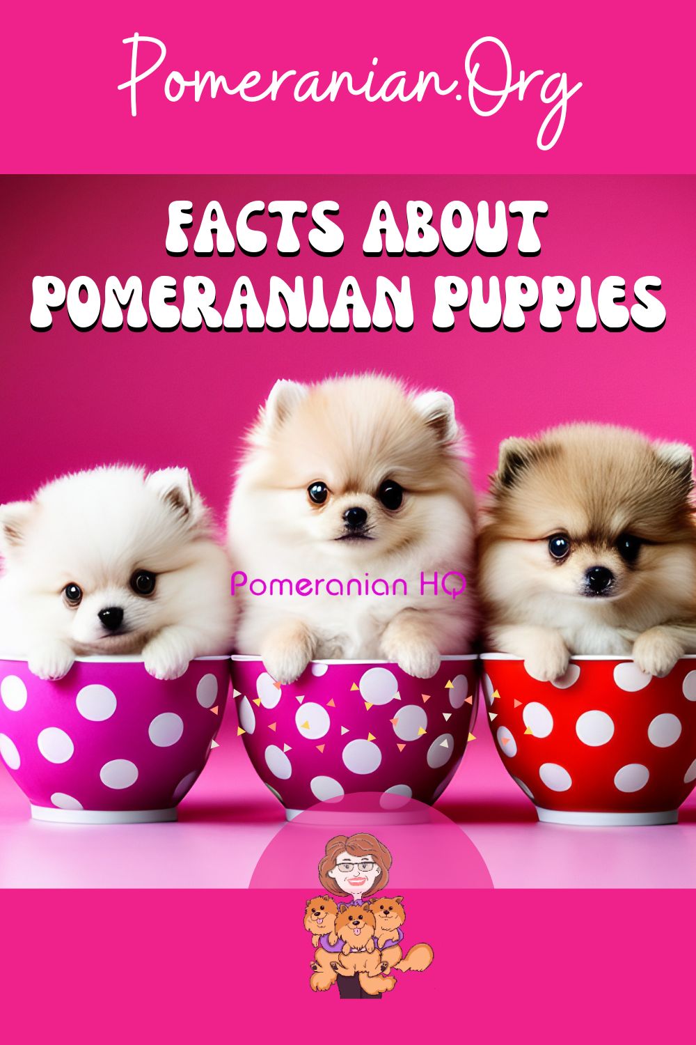 Facts About Pomeranian Puppies