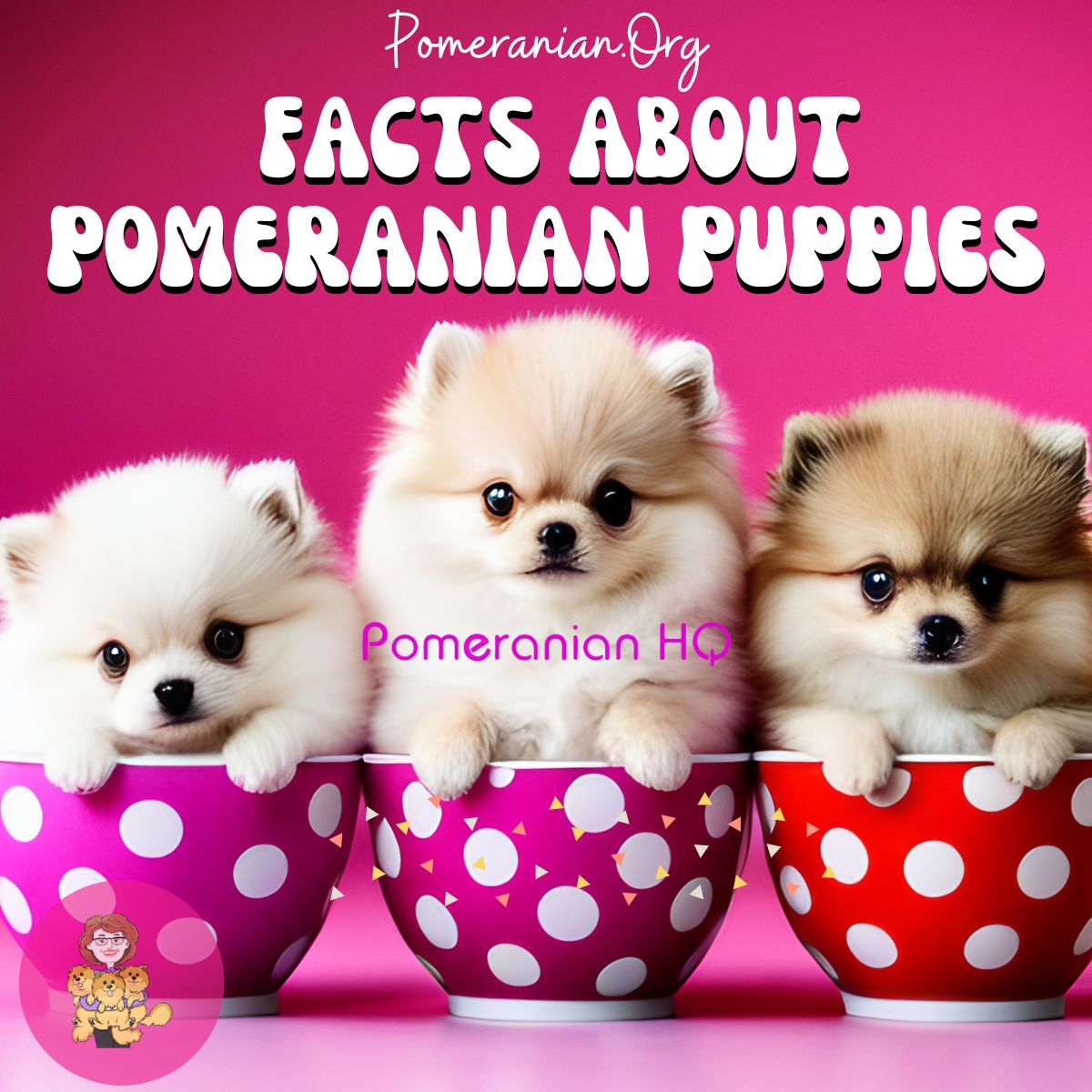 Facts About Pomeranian Puppies