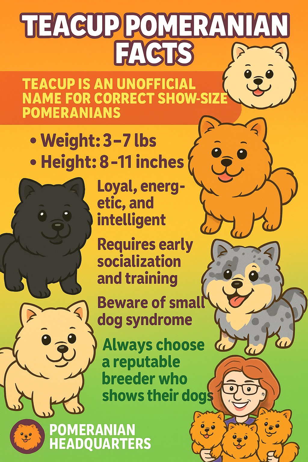 Pomeranian Dog Health Issues: Essential Care Tips