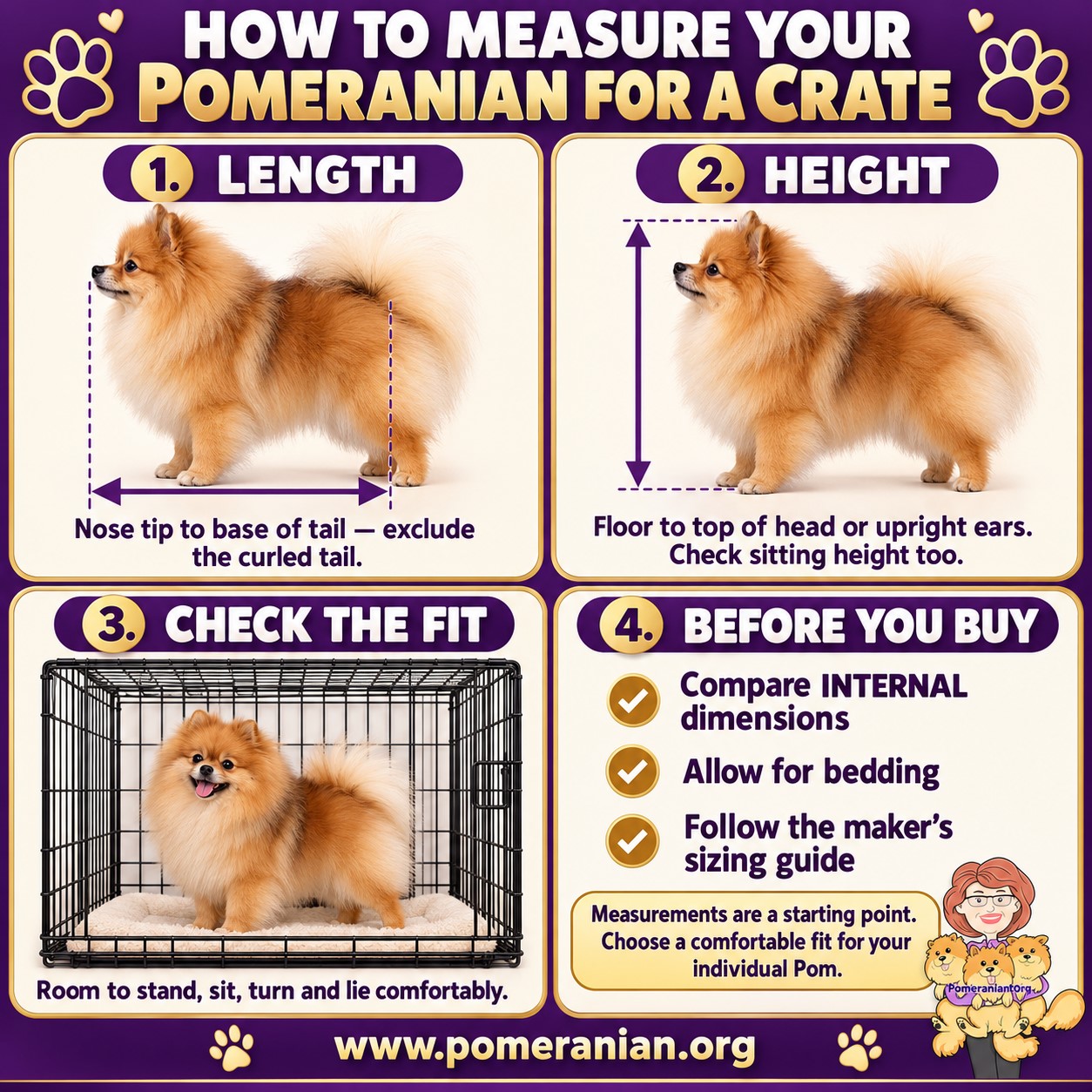 How to Measure Your Pomeranian for a Crate