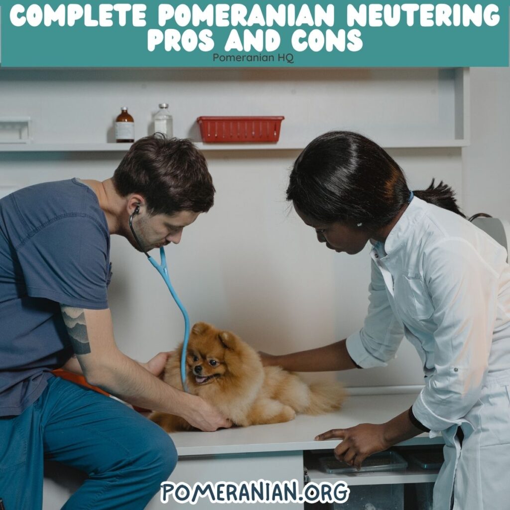 Complete Pomeranian Neutering Pros and Cons
