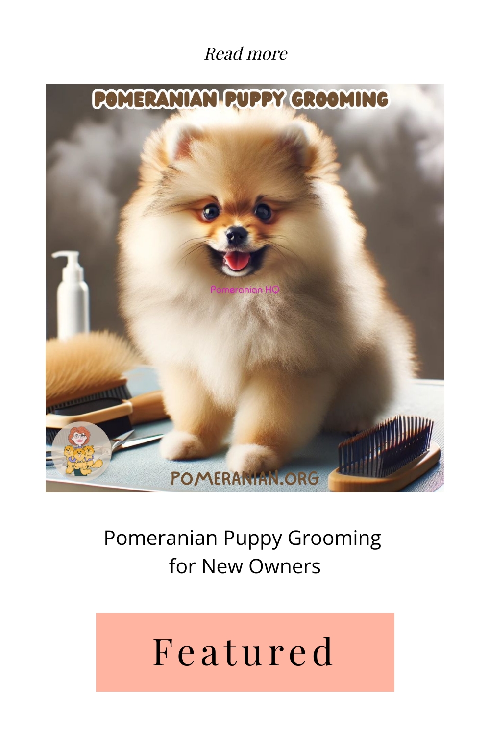 Pomeranian Puppy Grooming