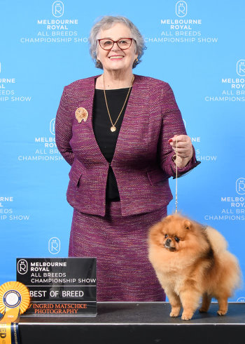 Denise Leo and Pomeranian winning at the Royal Melbourne Show.