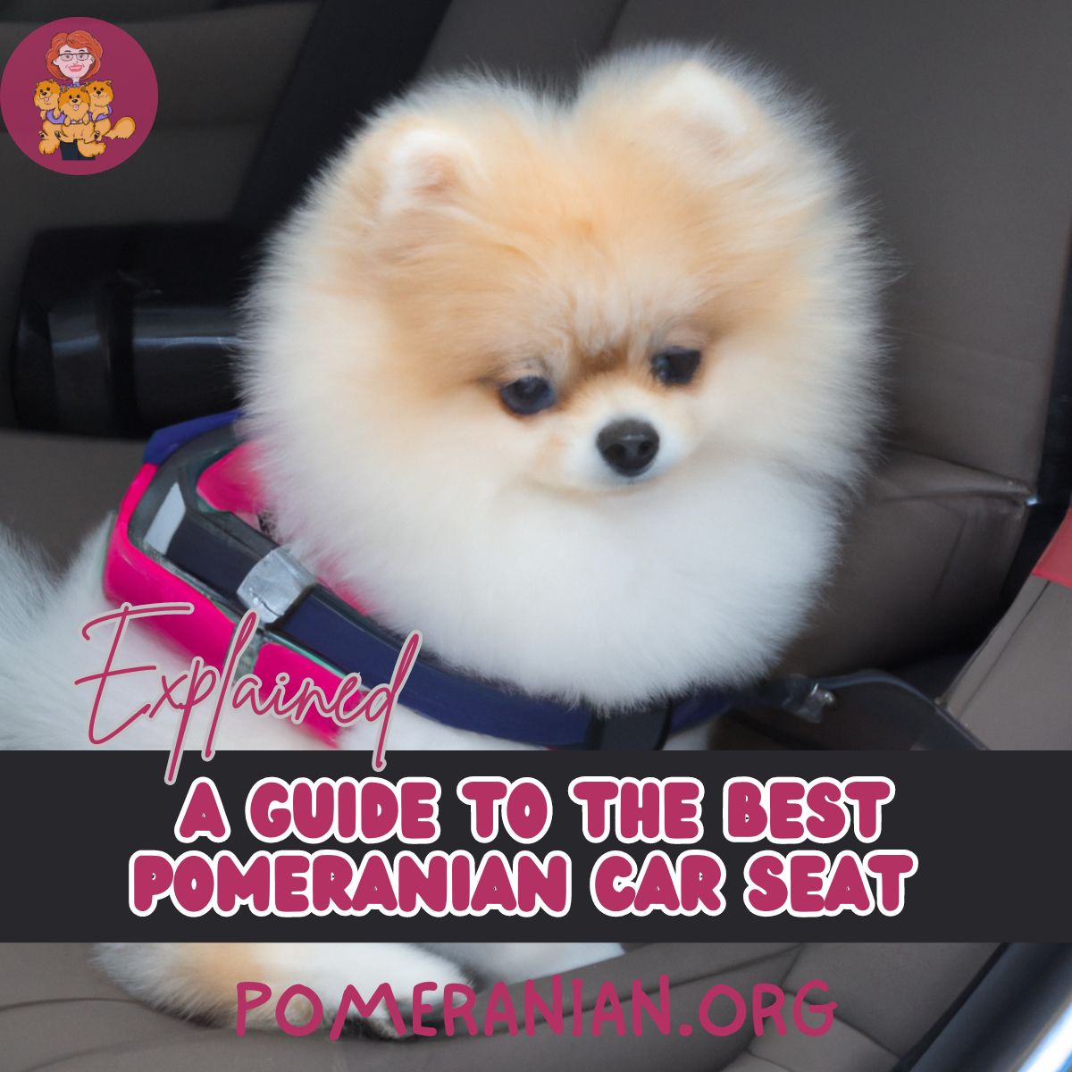 Pomeranian Car Seat Cover Pomeranian Car Seat Cover