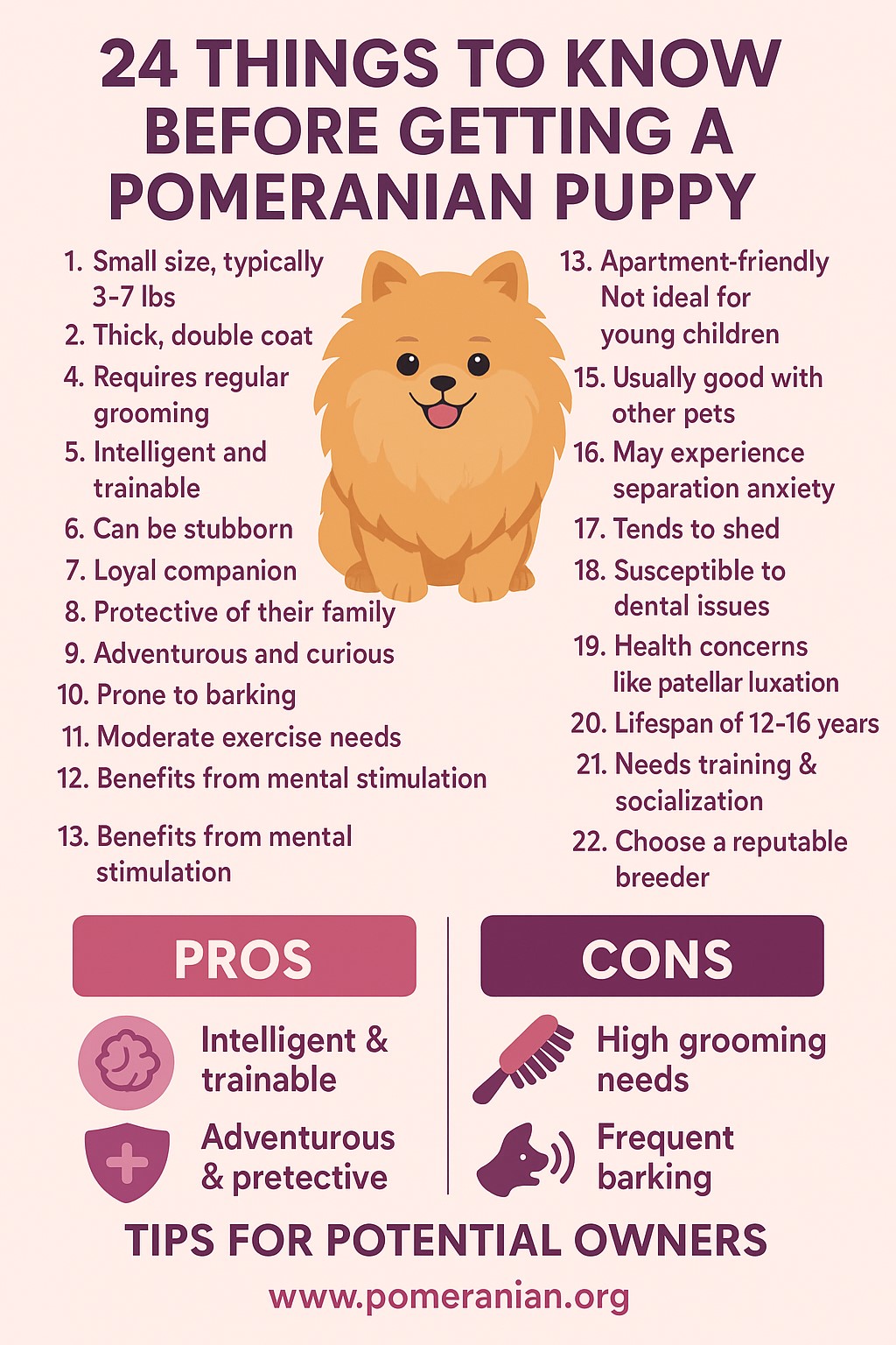 Pros and Cons of Owning Pomeranians