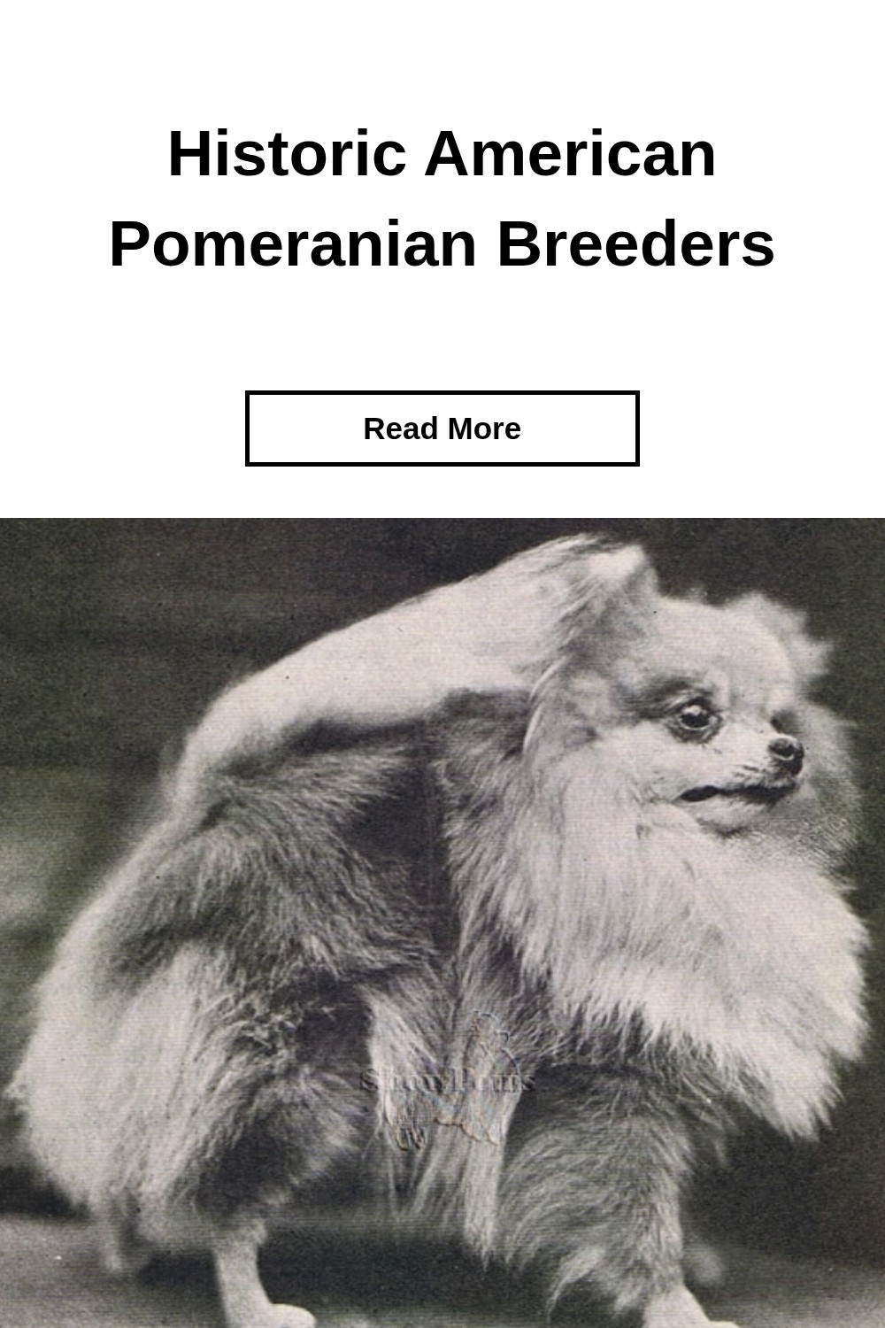 Historic American Pomeranian Breeders