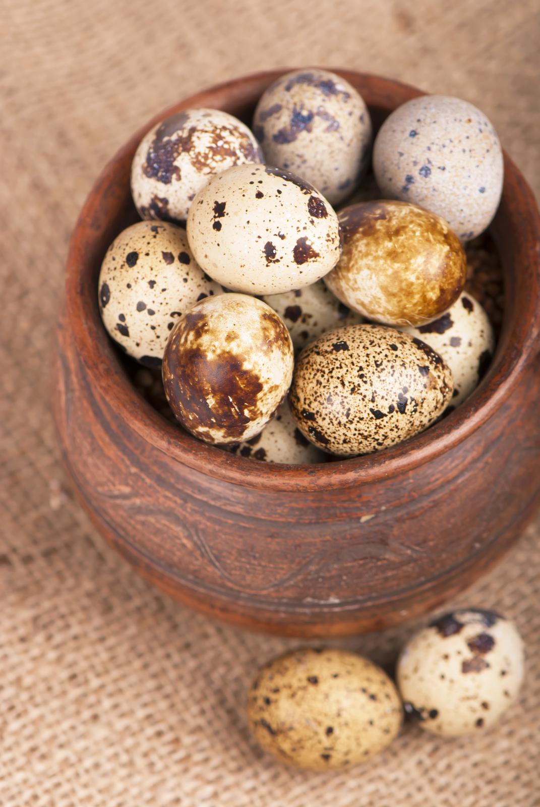 Quail Eggs