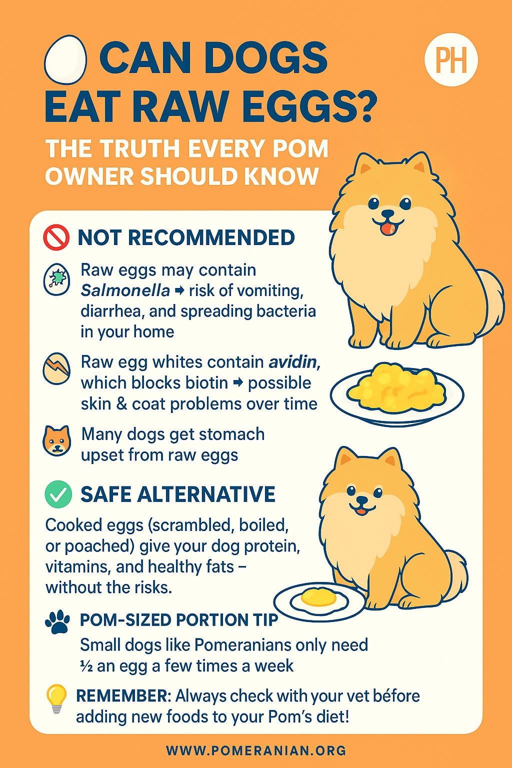 Feeding Raw Eggs to Dogs