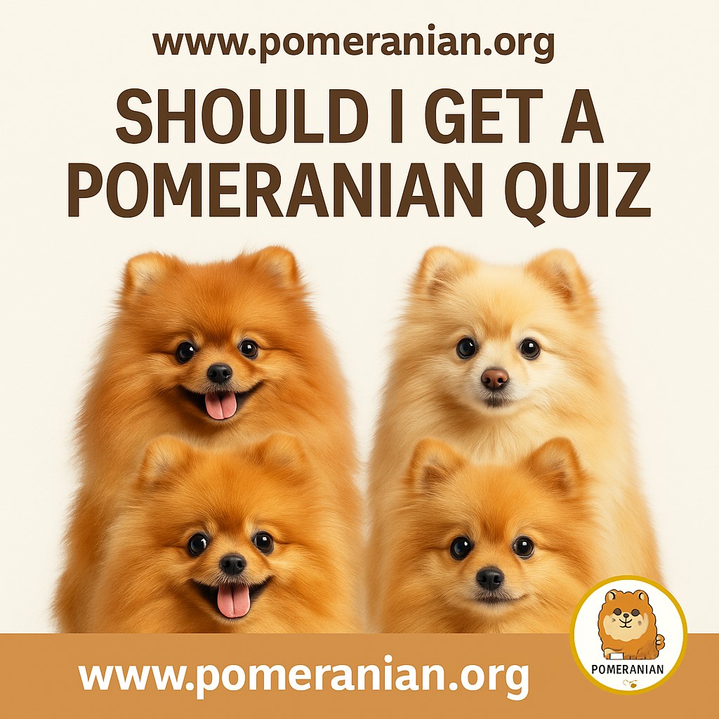 Should I Get a Pomeranian Quiz?