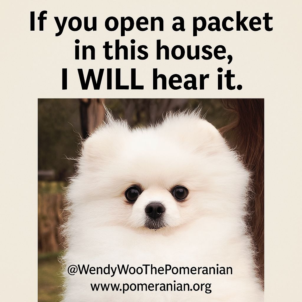 Wendy Woo the Pomeranian