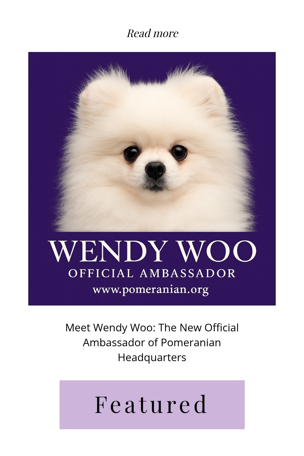 Wendy Woo the Pomeranian