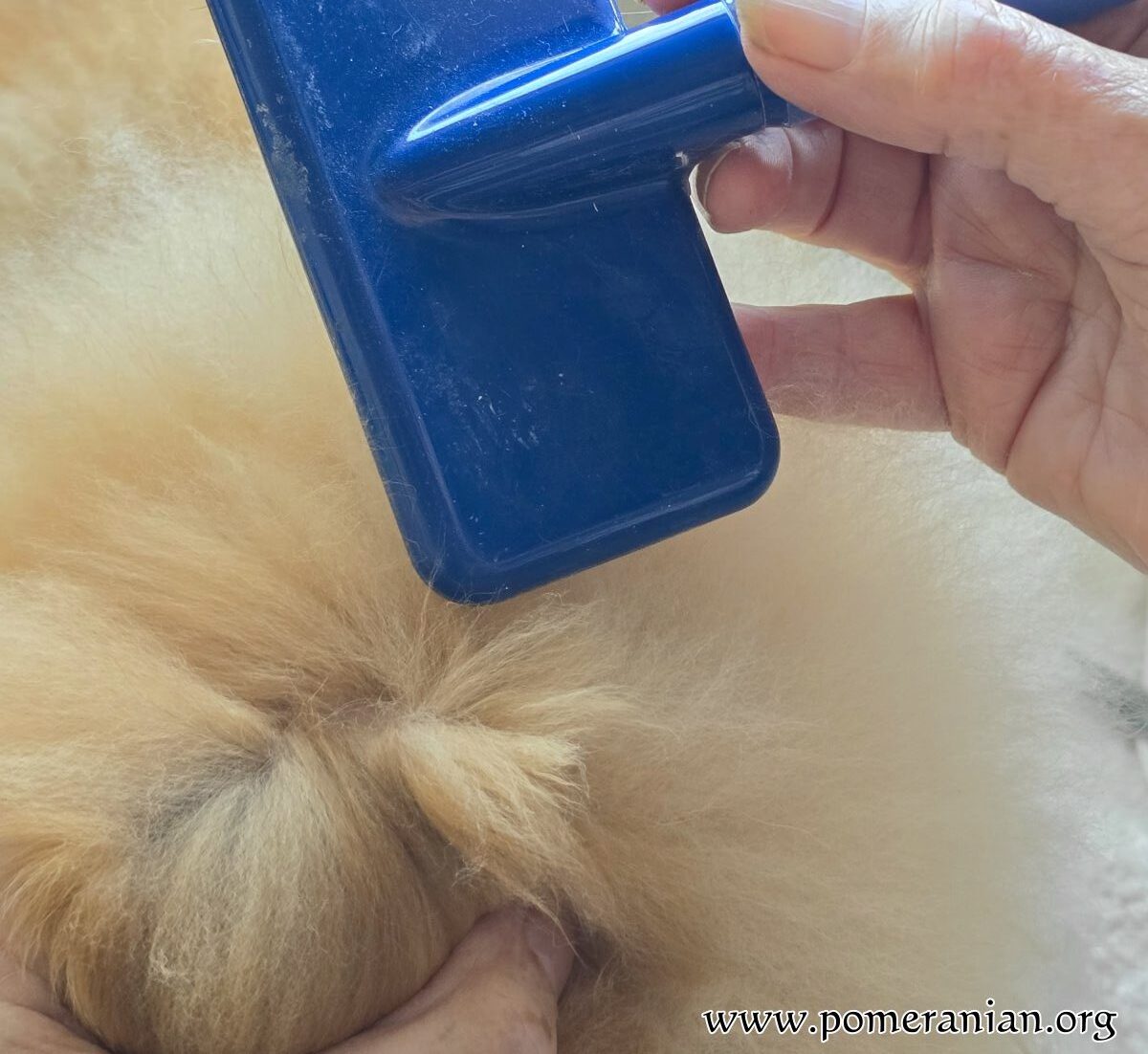 Brush Out the Remaining Tangles