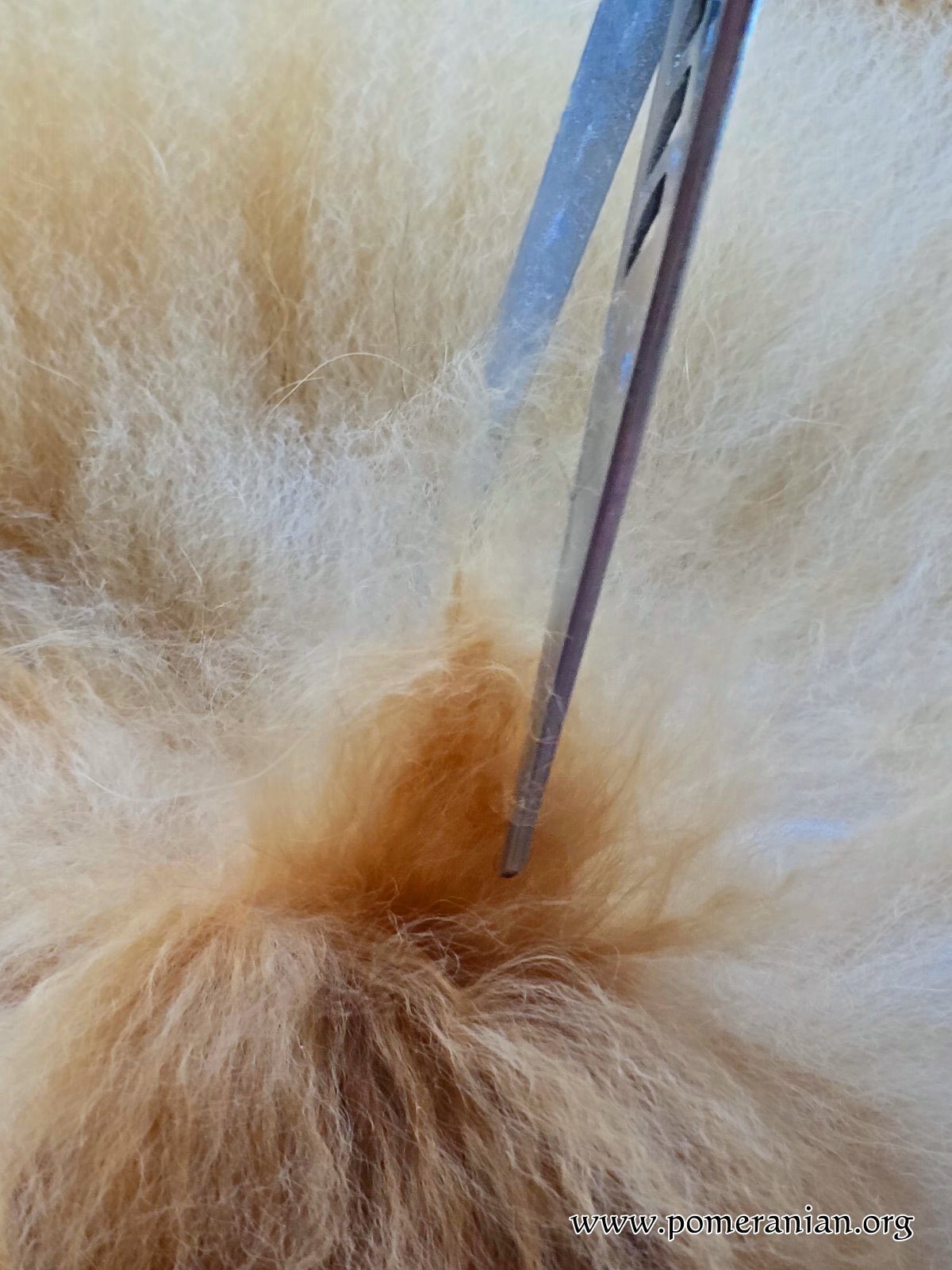 Cut Down Into the Mat (Not Across)