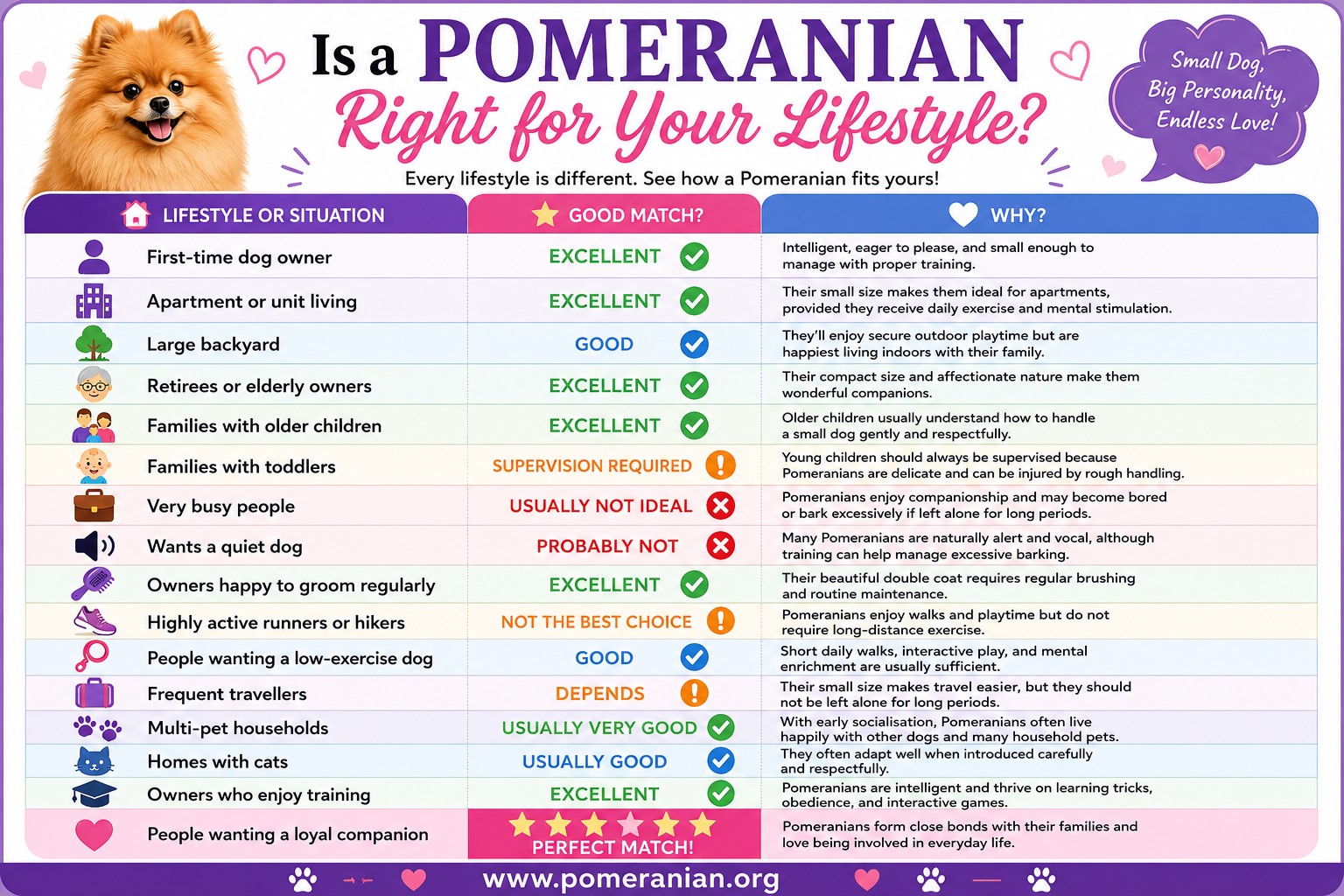 s A Pomeranian The Best Breed For You?