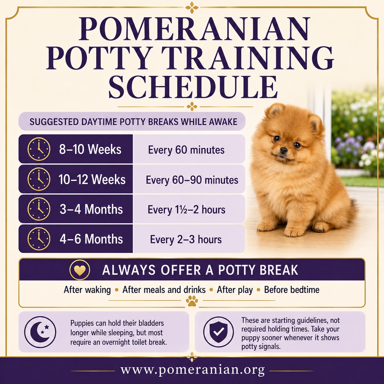 Pomeranian Potty Training Chart