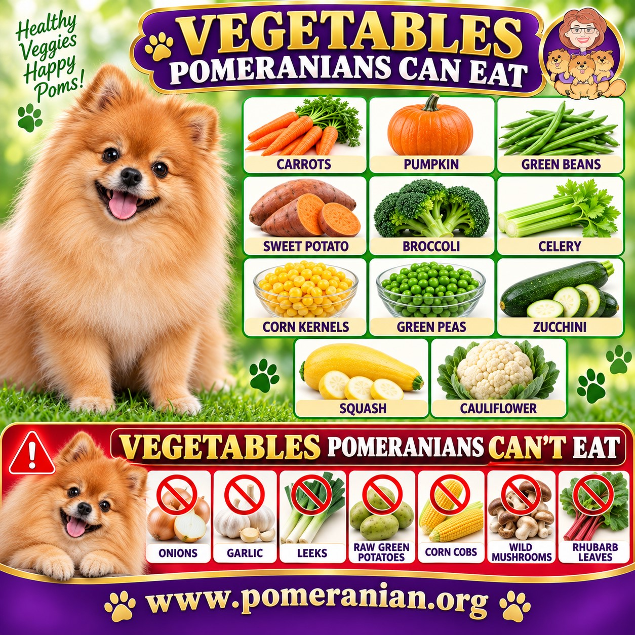 Vegetables Pomeranians Can and Cannot Eat