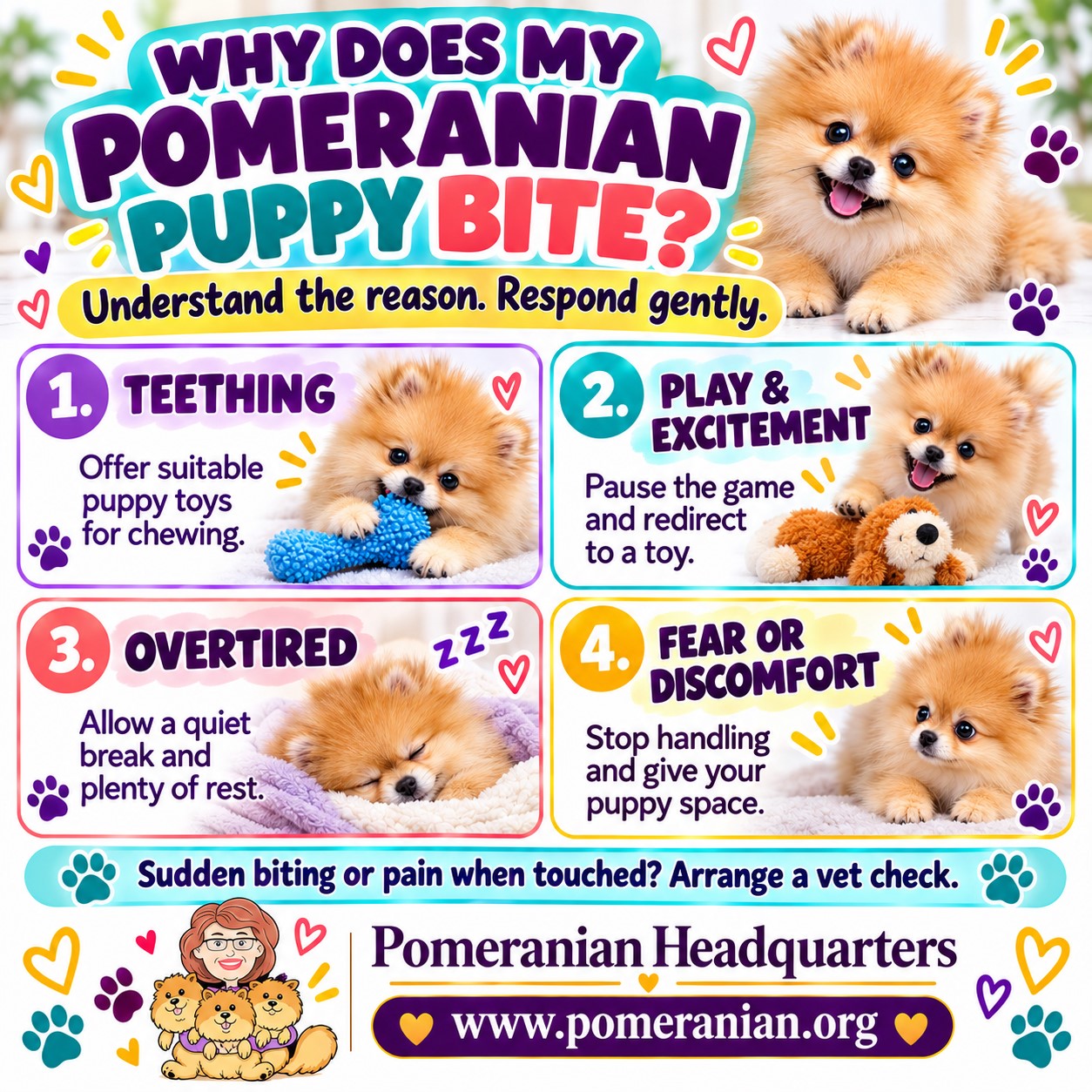 How to Stop Pomeranian Puppy Biting